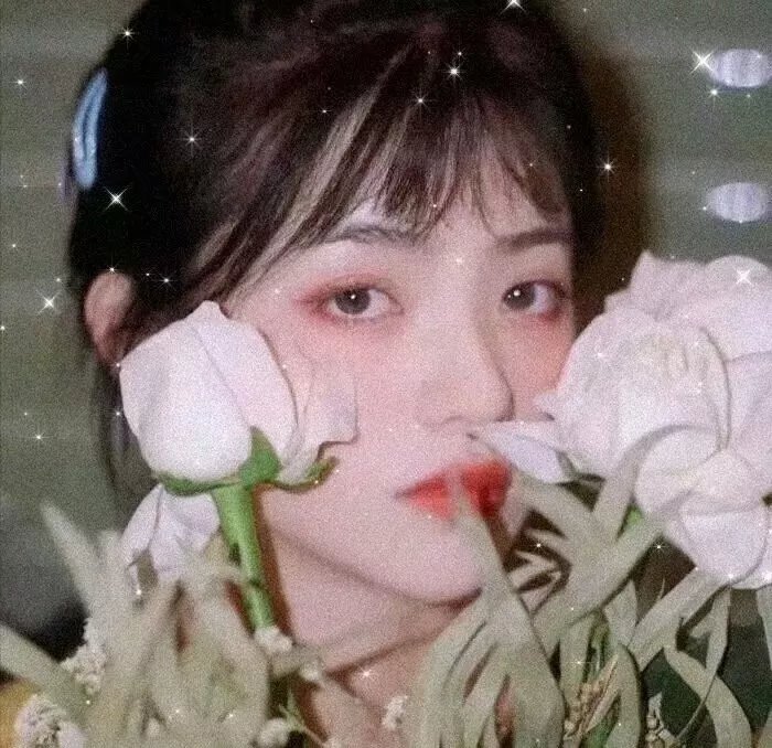 醋溜族